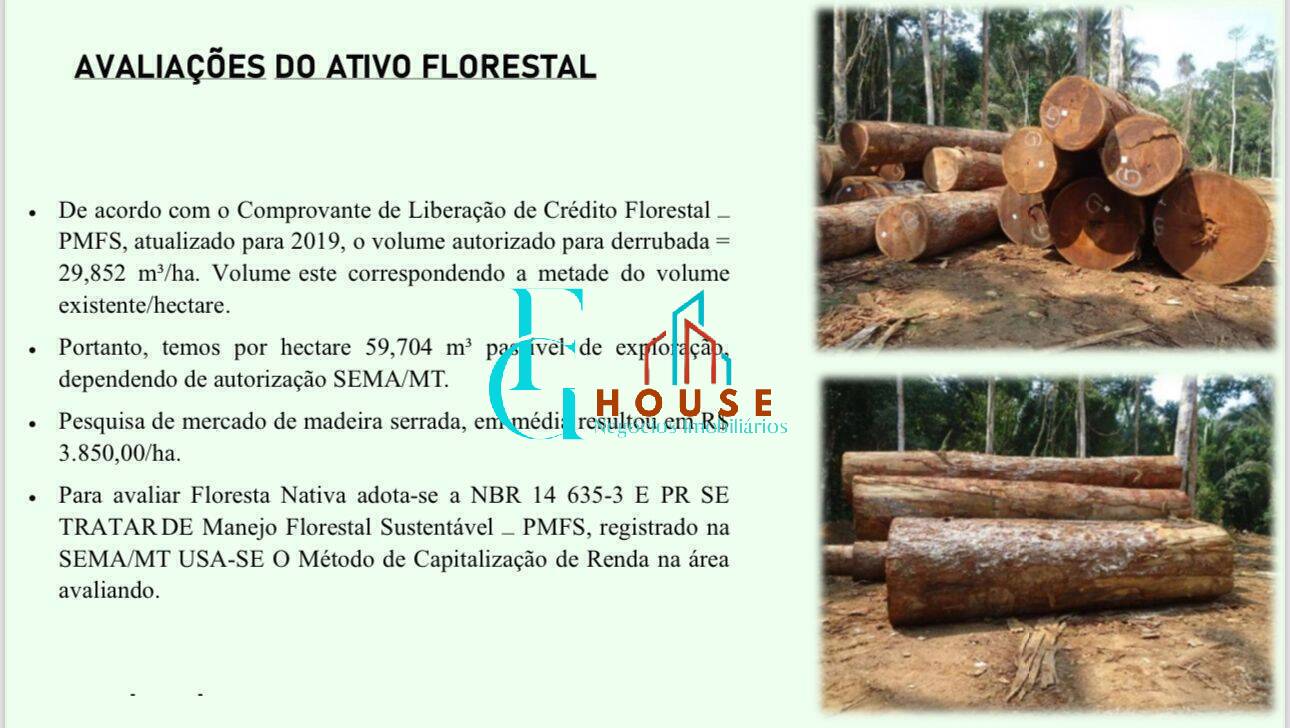 Terreno, 10 hectares - Foto 11