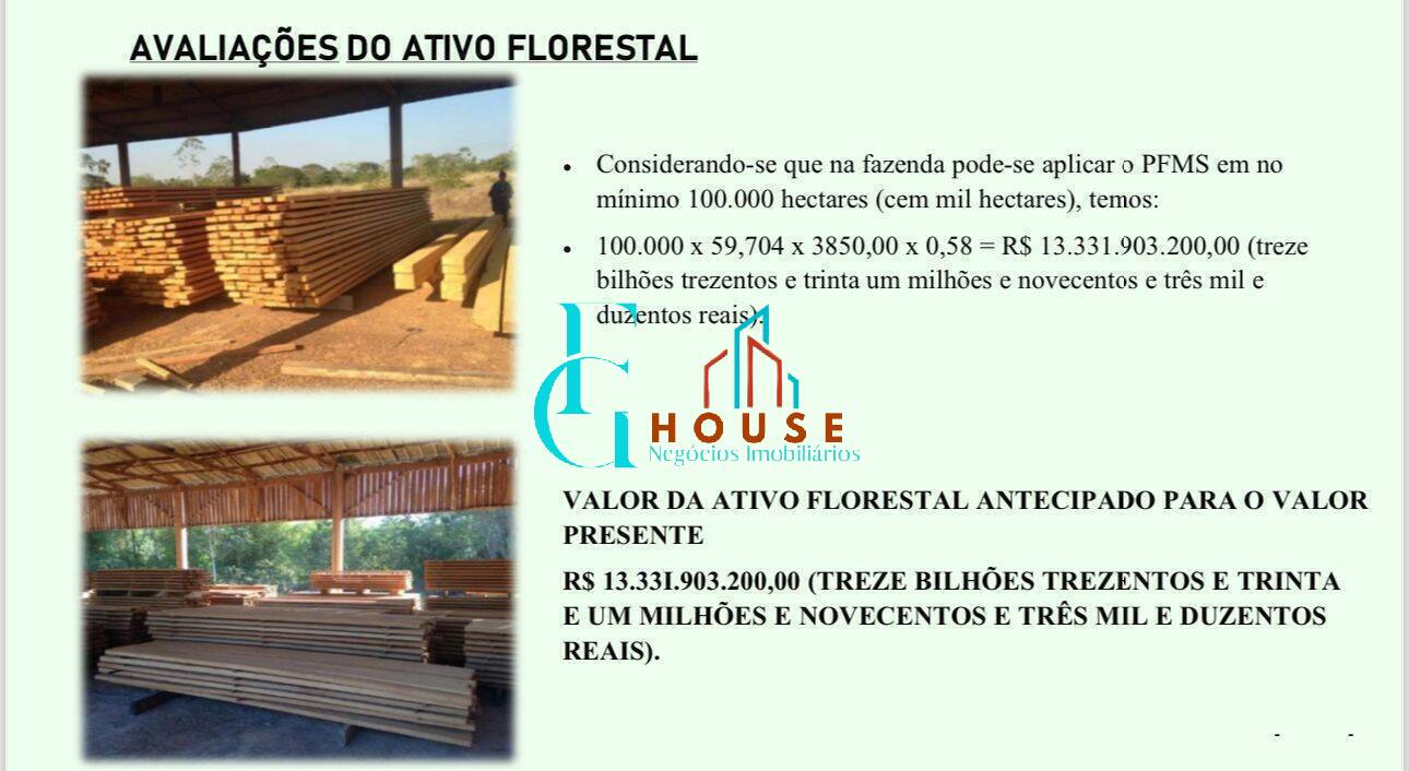 Terreno, 10 hectares - Foto 12