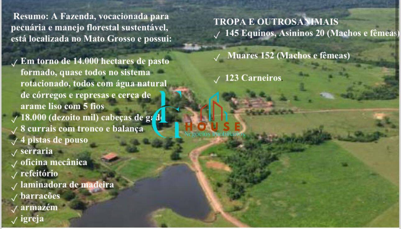 Terreno, 10 hectares - Foto 1