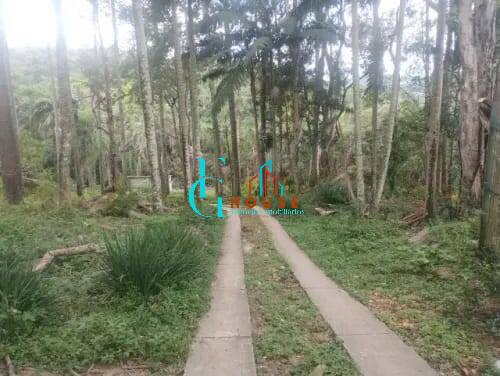 Chácara, 4 quartos, 3500 m² - Foto 3